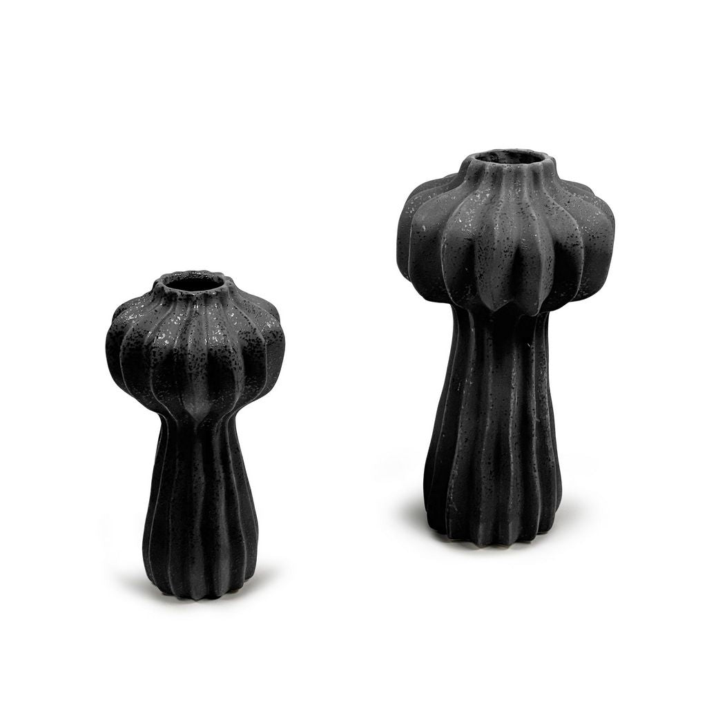 CESE338 BLACK VASES